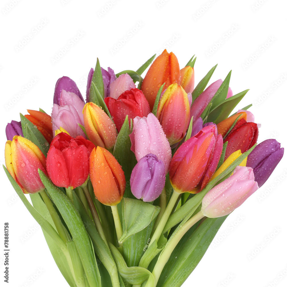 Blumenstrauß mit Tulpen Blumen im Frühling oder Muttertag Frei - obrazy, fototapety, plakaty 