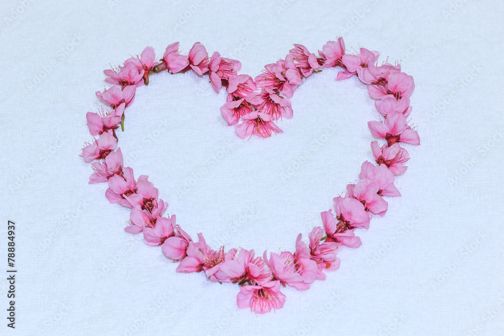 Heart from Cherry blossoms or sakura Heart from Cherry blossoms or sakura