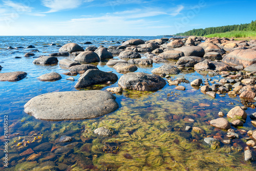 Coast of Baltic Sea. Estonia