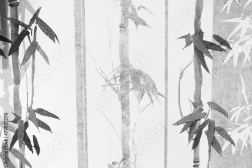 Obraz narysowana ilustracja bambusa
