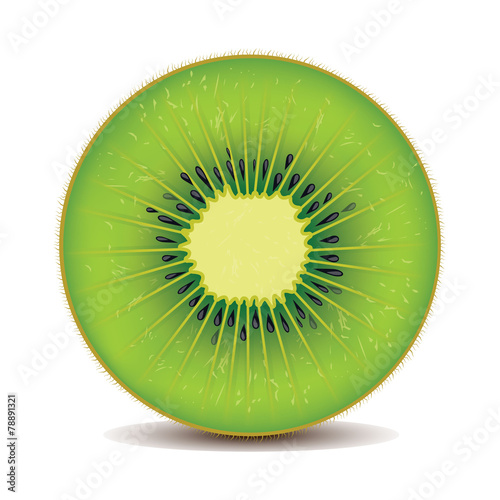 realistic kiwi