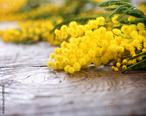 Fototapeta Naklejka Na Ścianę i Meble -  Mimosa spring flowers on the wooden table