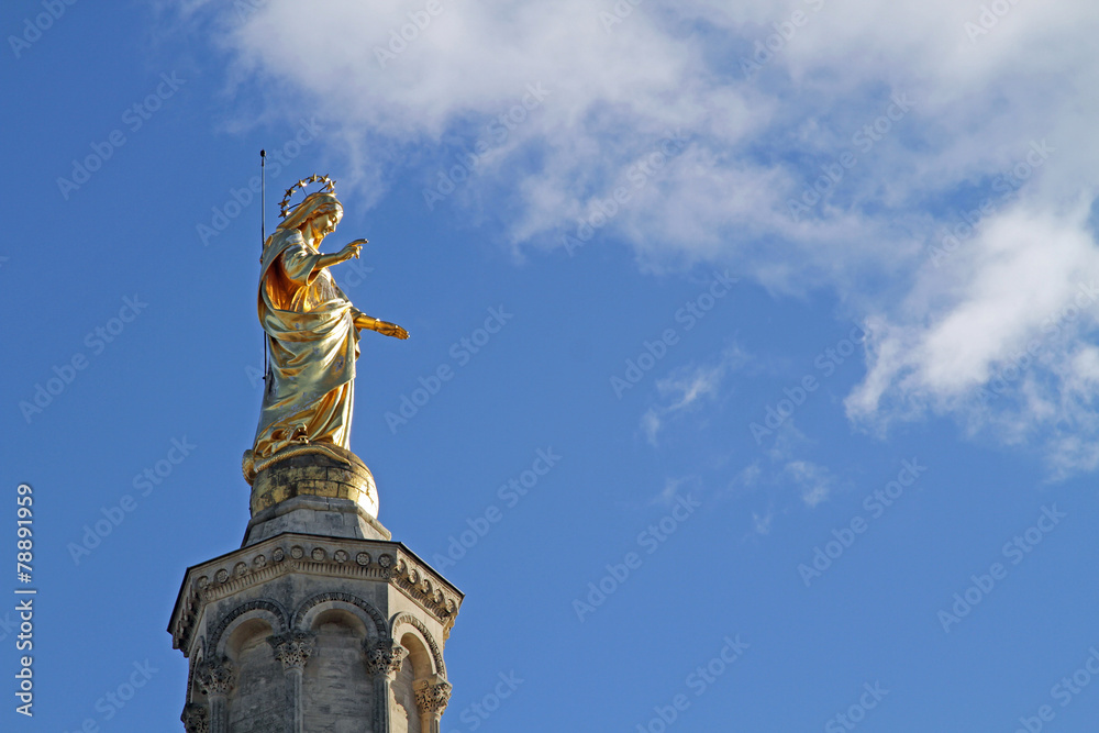 Fototapeta premium Vierge en or