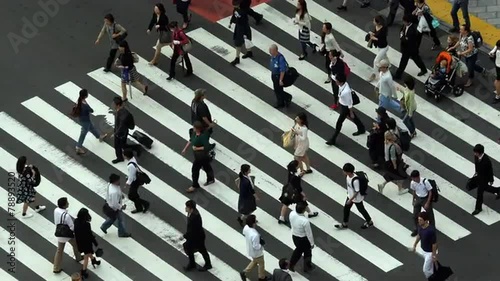 Wallpaper Mural Busy Pedestrian Crossing From Above  - Shibuya, Tokyo Japan Torontodigital.ca