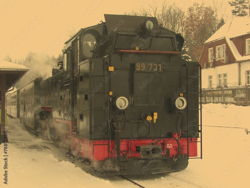 Obraz premium Dampflokomotive im Gebirge