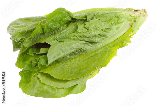 Romaine lettuce