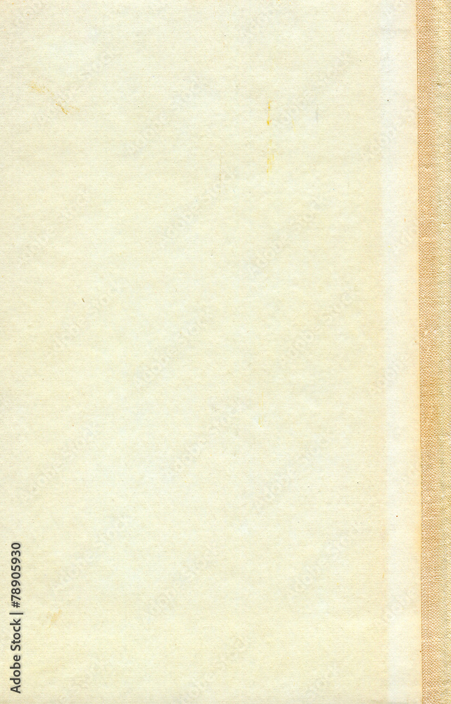 Paper texture. Paper texture.