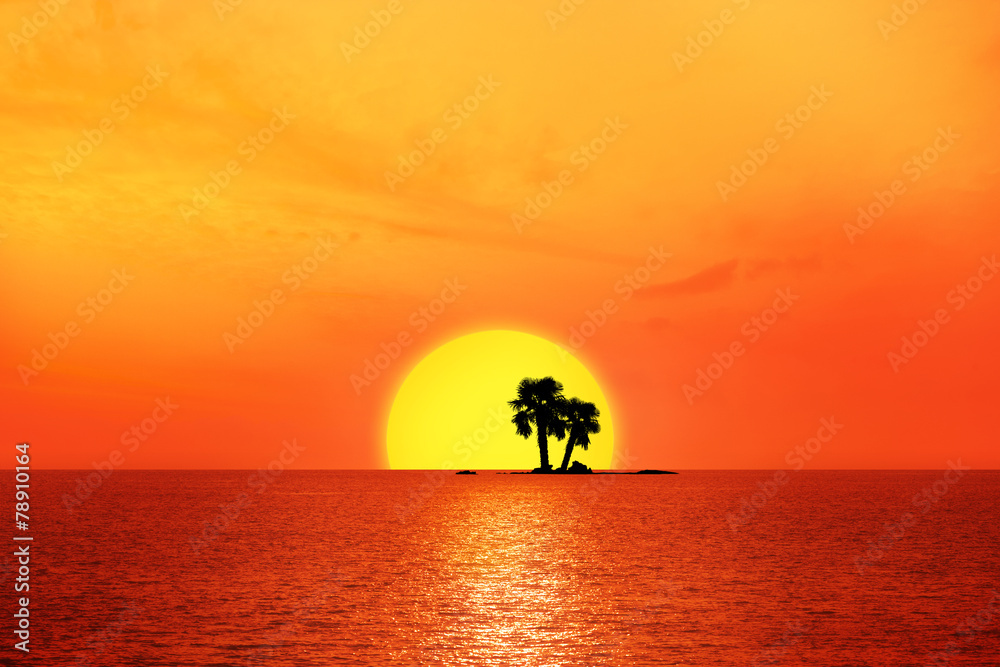 Obraz premium Sonnenuntergang mit Palmen