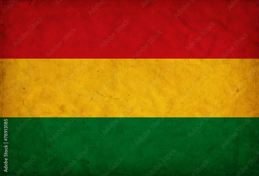 Fototapeta premium Bolivia grunge flag