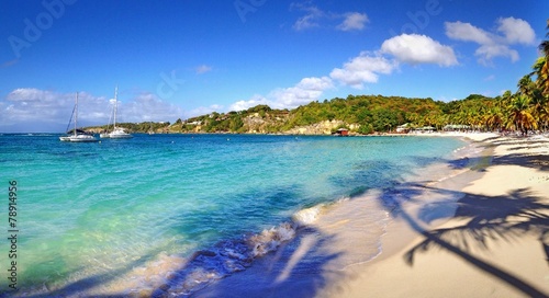 Fototapeta Naklejka Na Ścianę i Meble -  plage de Guadeloupe