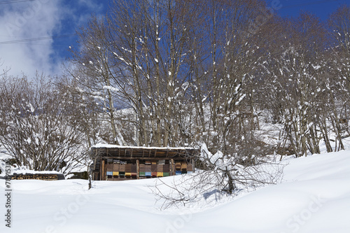 St. Gotthard - Bienenstöcke photo