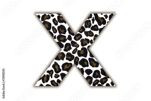 font with pattern leopard