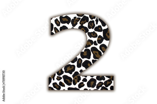 font with pattern leopard