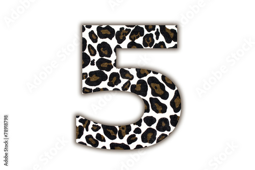 font with pattern leopard