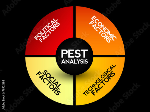 PEST Analysis Strategy Diagram, business concept