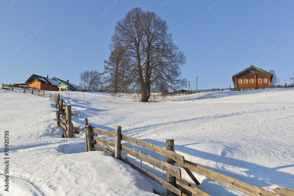 Зимний деревенский пейзаж на севере России