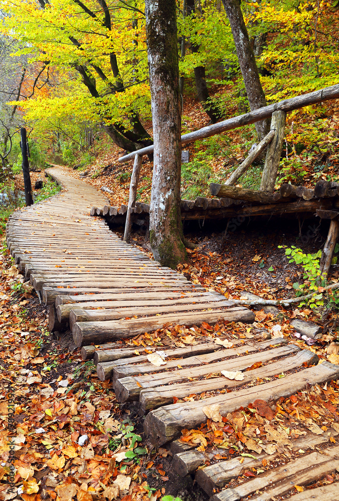 Fototapeta premium Alley in Plitvice National Park - Autumn colors