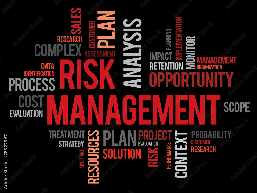 Risk Management business concept word cloud