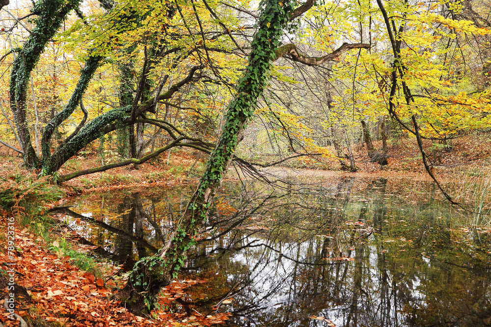 Plitvice National Park, Croatia, Europe - Autumn colors