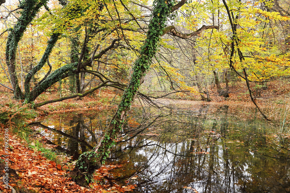 Plitvice National Park, Croatia, Europe - Autumn colors Plitvice National Park, Croatia, Europe - Autumn colors