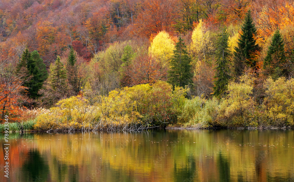 Autumn colors in Plitvice National Park, Croatia, Europe