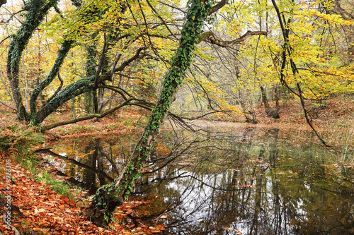 Plitvice National Park, Croatia, Europe - Autumn colors