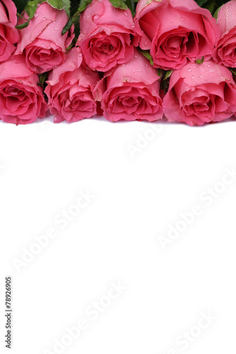 Rosen Blumen zum Valentinstag oder Muttertag Freisteller mit Tex