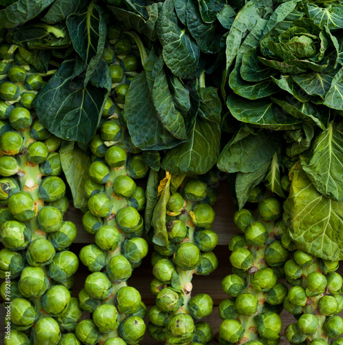 Canvastavla Brussel Sprouts