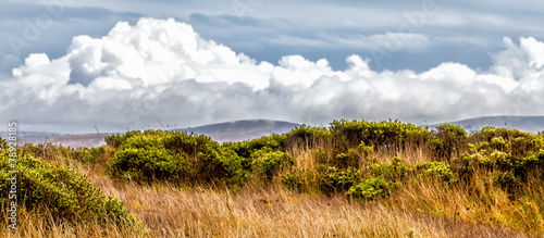 California landscape of grassy rolling hills and dramatic clouds
