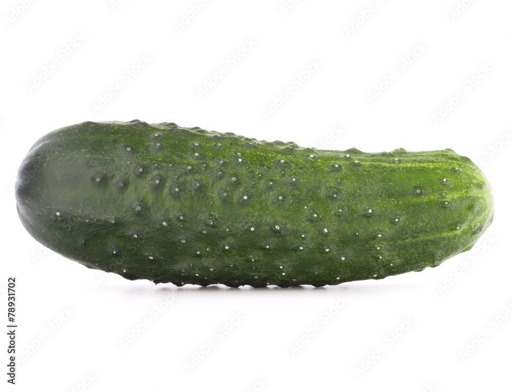 Cucumber vegetable isolated on white background cutout Cucumber vegetable isolated on white background cutout