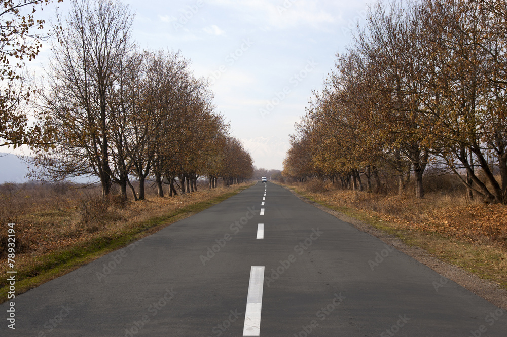 Fototapeta premium road