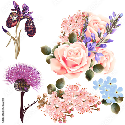 Fototapeta Naklejka Na Ścianę i Meble -  Vector set of detailed colored flowers