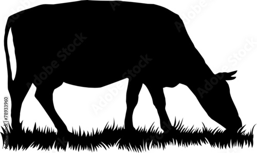 Silhouette of cow eating grass - vector illustration