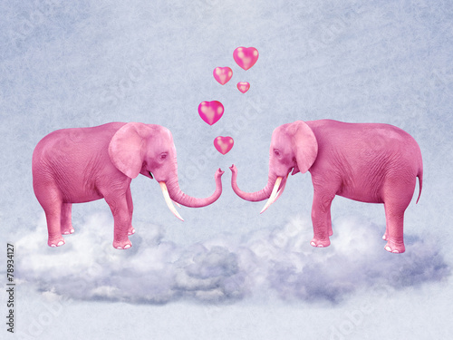 Photography Two pink elephants in love.