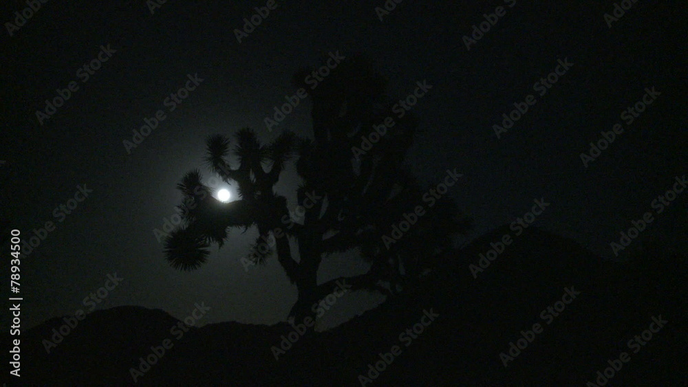 Moon passing through Joshua Tree at Night