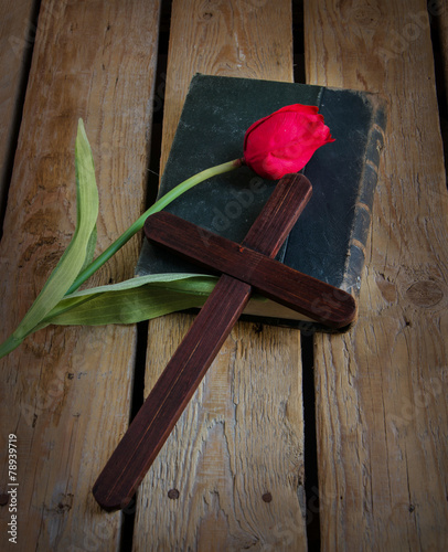 Tulip on a bible
