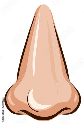 Nose