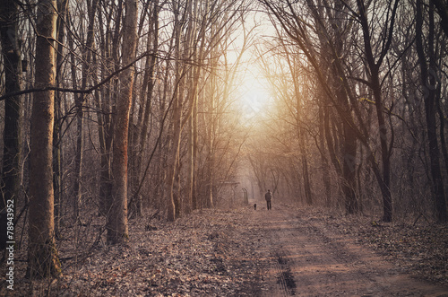 Man walking in forest at sunset