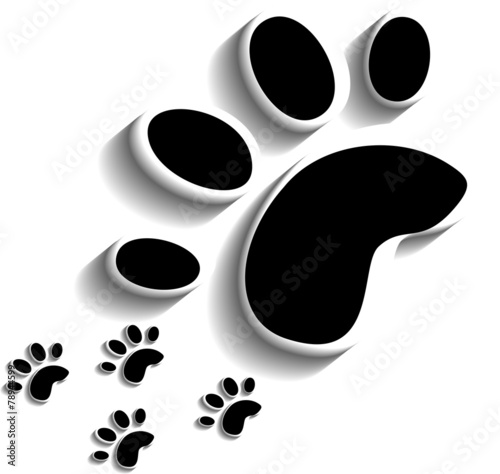 Animal footprints. Vector