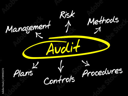 Audit diagram process, business concept