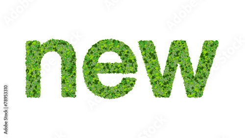 Word new made from green leaves on gradient background.