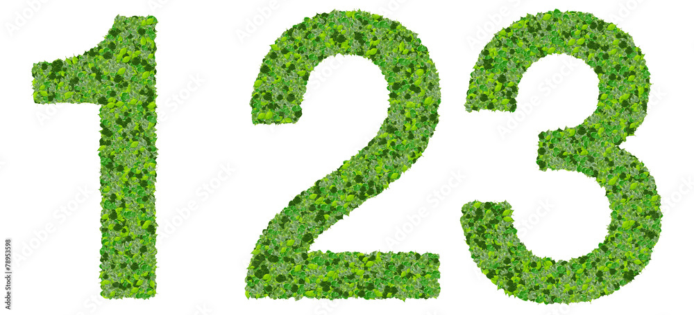 1 2 3 number made from green leaves isolated on background. 1 2 3 number made from green leaves isolated on background.