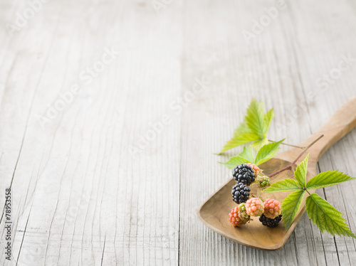 Fototapeta Naklejka Na Ścianę i Meble -  Fresh Blackberries on a Spoon