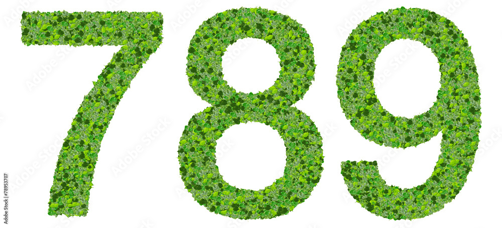 7 8 9 number made from green leaves isolated on background. 7 8 9 number made from green leaves isolated on background.