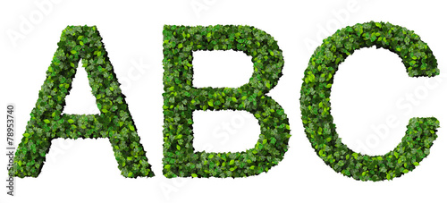 A B C alphabet letters made from green leaves isolated on white.