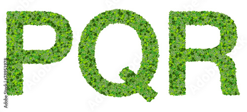 P Q R alphabet letters made from green leaves isolated on white.