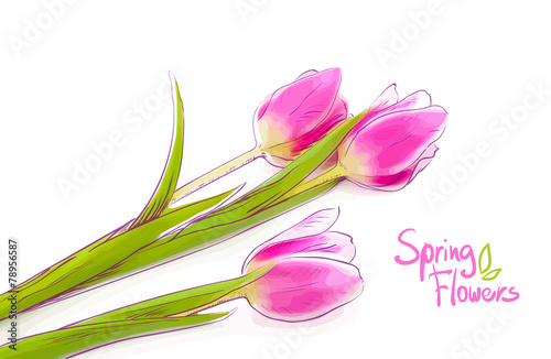 Fototapeta Naklejka Na Ścianę i Meble -  Pink tulips