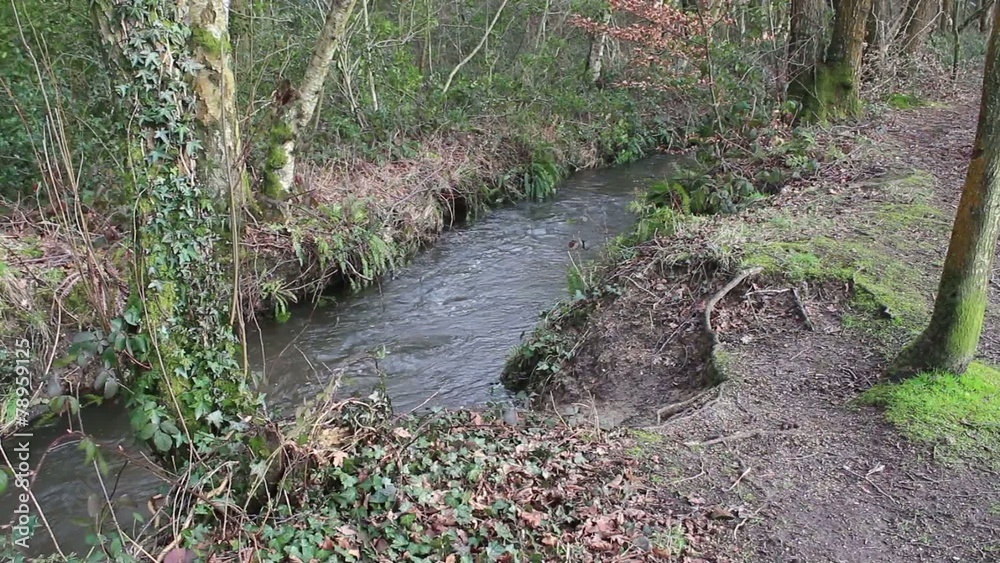 Stream Stream