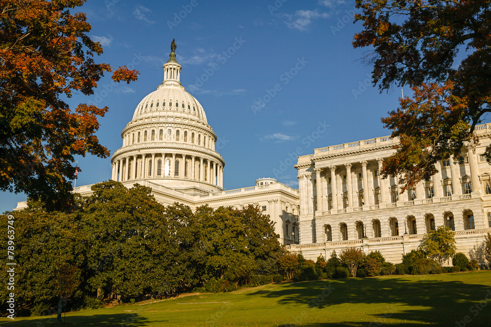 The Capitol, Washington D.C
