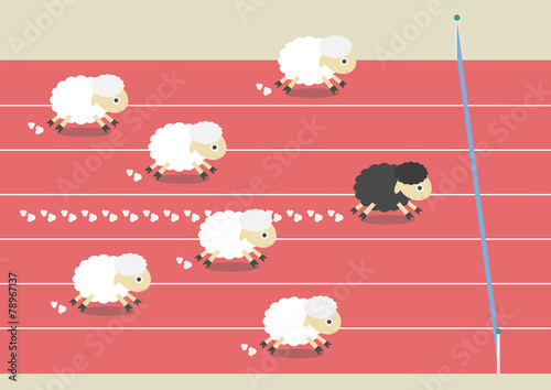 sheep race
